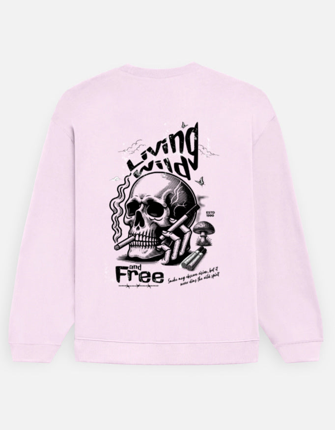 Color_LightBabyPink